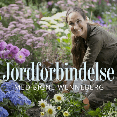 Jordforbindelse med Signe Wenneberg